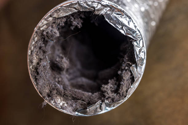 Reliable Greenwood, SC Airduct Cleaning Solutions